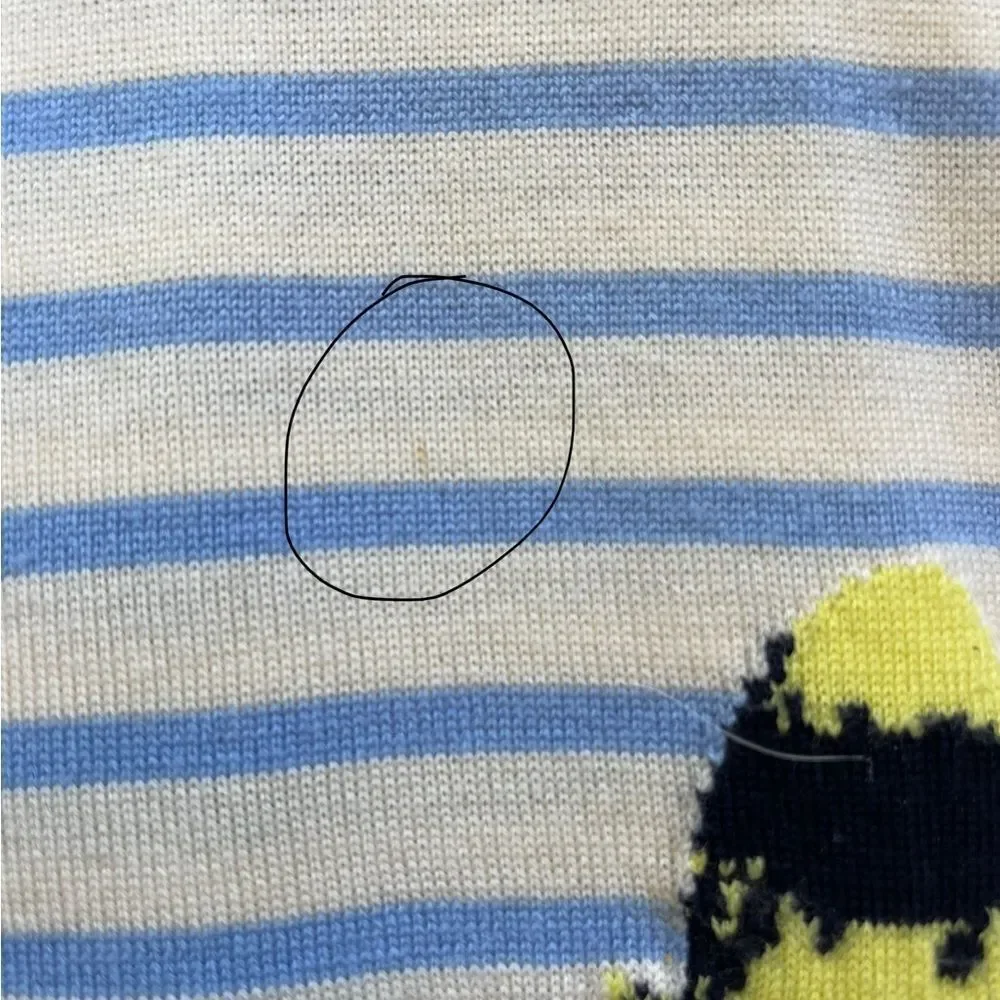 J.Crew Merino “Tippi” Wool Ivory Blue Crew Neck Striped Butterflies Sweater • XS